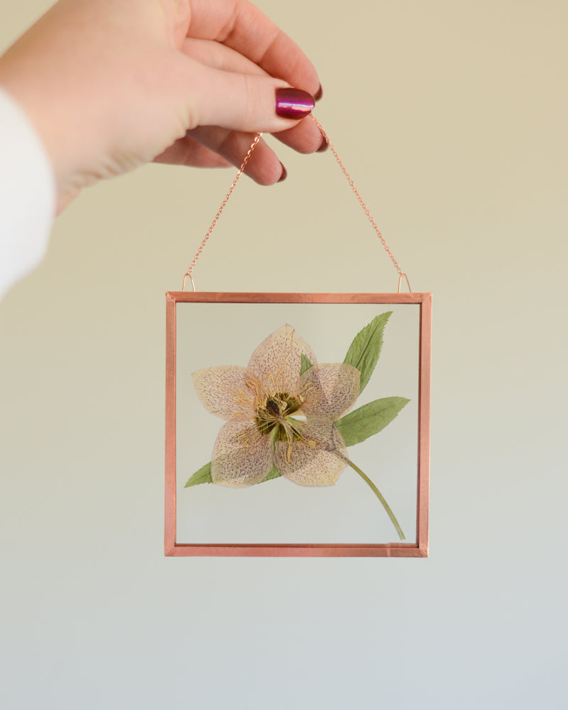 Hellebore - Square Glass and Copper Wall Hanging