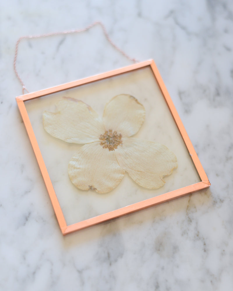 Dogwood - Square Glass and Copper Wall Hanging