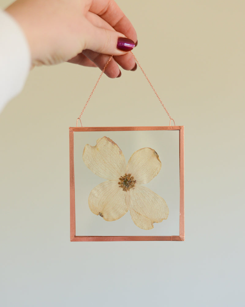 Dogwood - Square Glass and Copper Wall Hanging