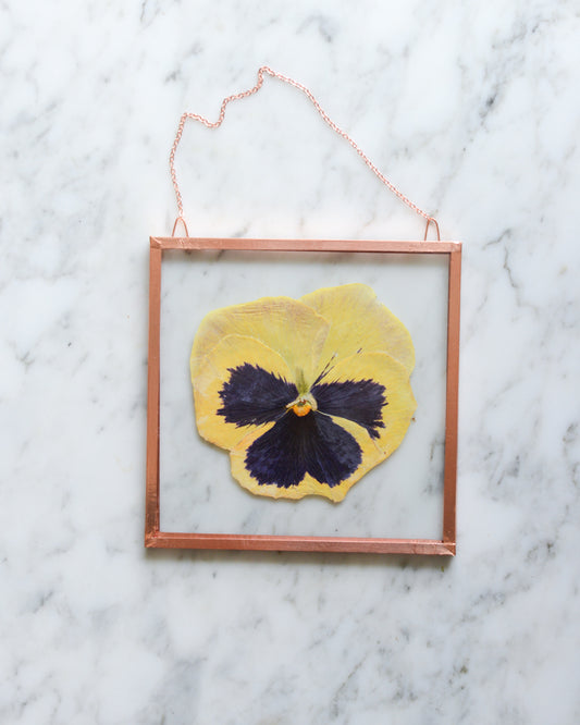 Pansy - Small Glass and Copper Wall Hanging