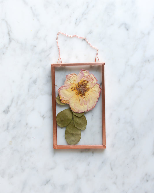 Peach Rose - Small Glass and Copper Wall Hanging