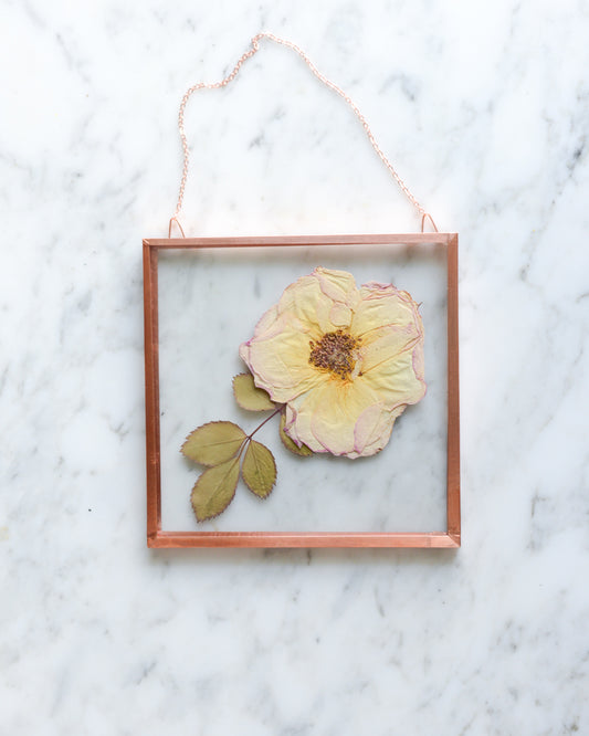Peach Rose - Small Glass and Copper Wall Hanging