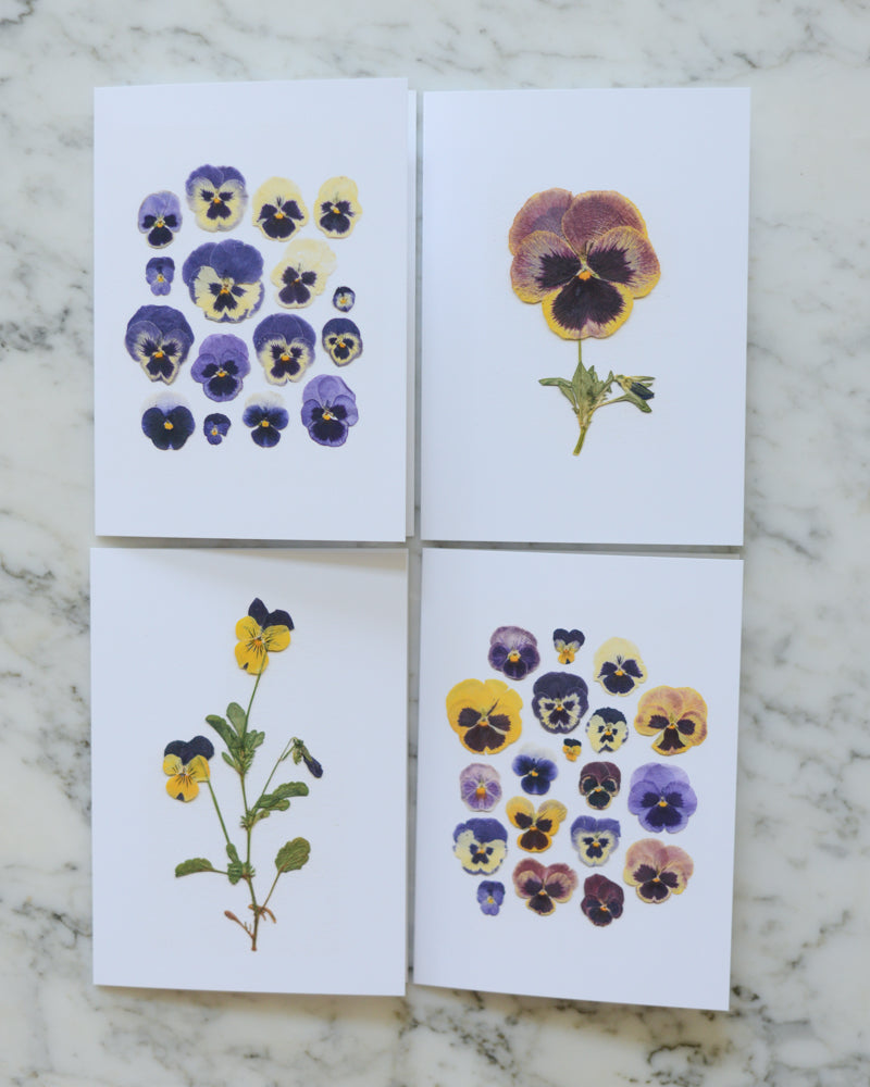 Pansies - Blank Greeting Cards, set of 4+ with envelopes