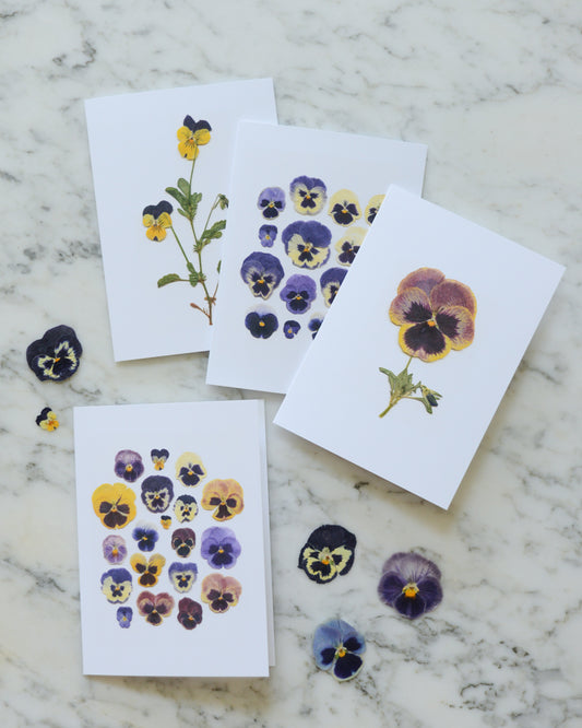 Pansies - Blank Greeting Cards, set of 4+ with envelopes