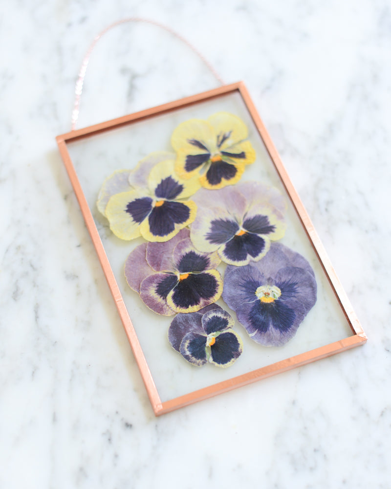 Purple Pansy Ombre - Glass and Copper Wall Hanging