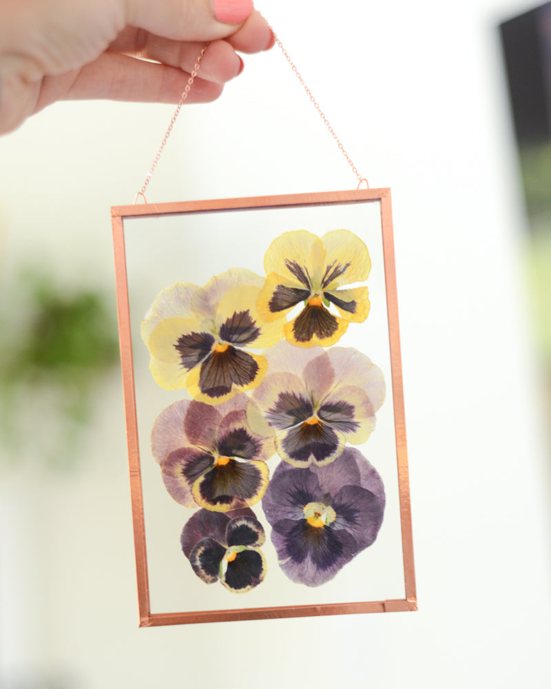 Purple Pansy Ombre - Glass and Copper Wall Hanging