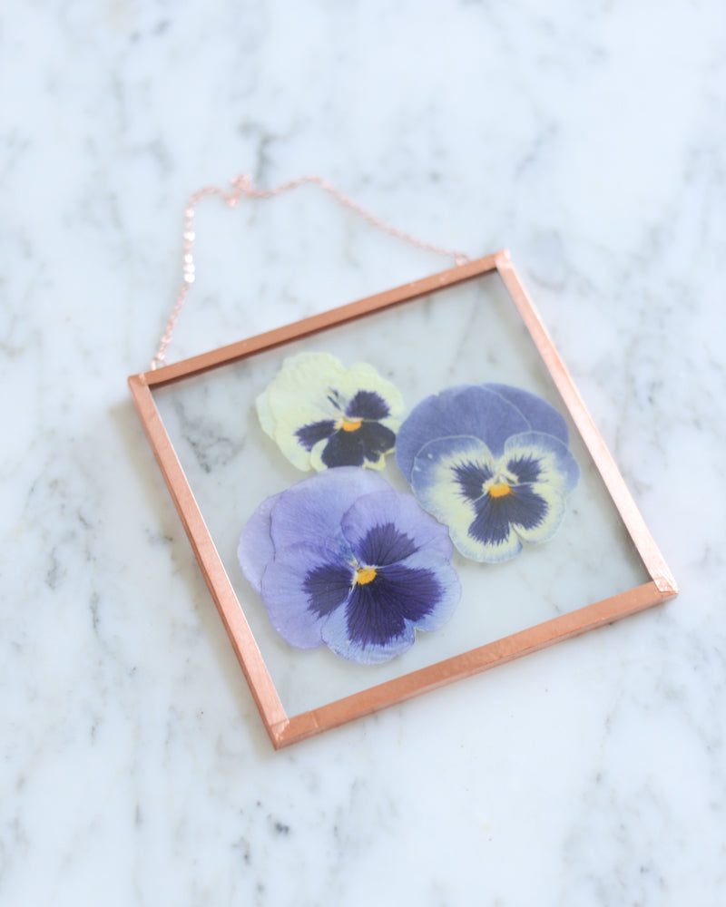 Blue Pansies - Small Glass and Copper Wall Hanging