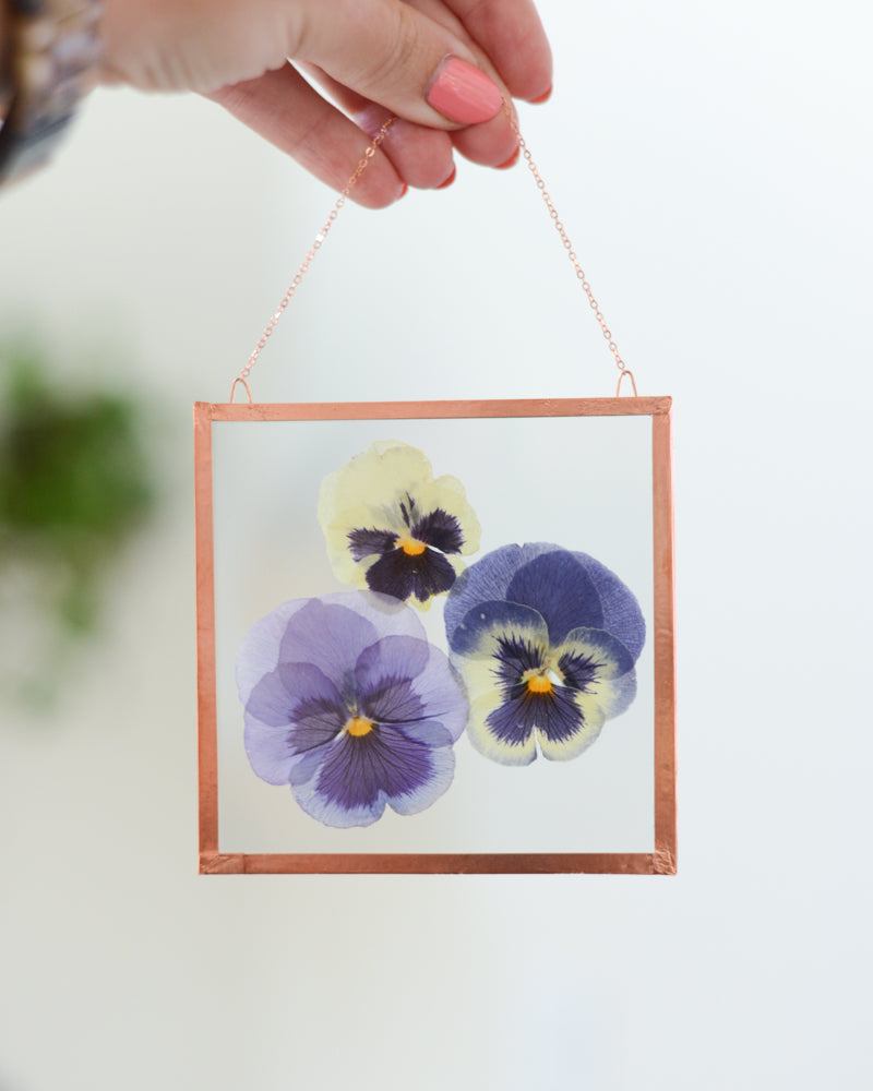 Blue Pansies - Small Glass and Copper Wall Hanging