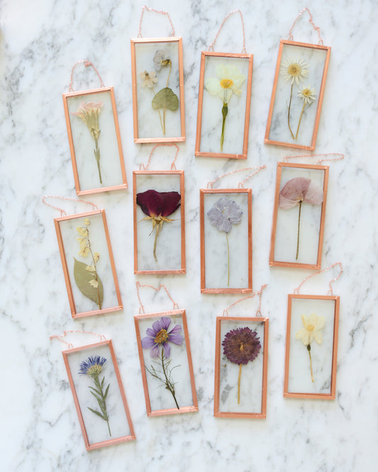 Birth Flowers - Real Pressed Flowers in Small Glass and Copper Wall Hanging