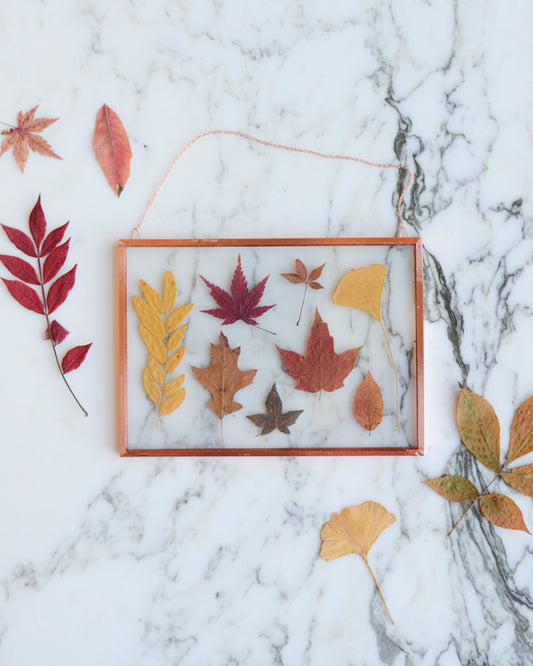 Leaf Herbarium - Glass and Copper Wall Hanging