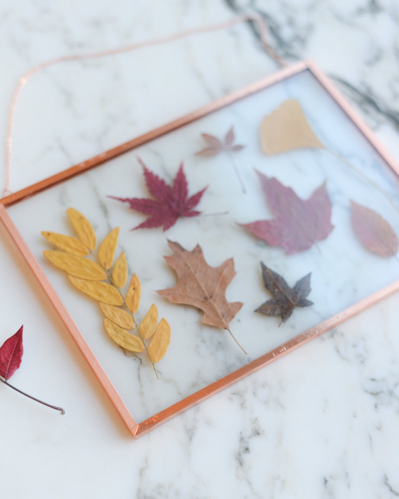 Leaf Herbarium - Glass and Copper Wall Hanging