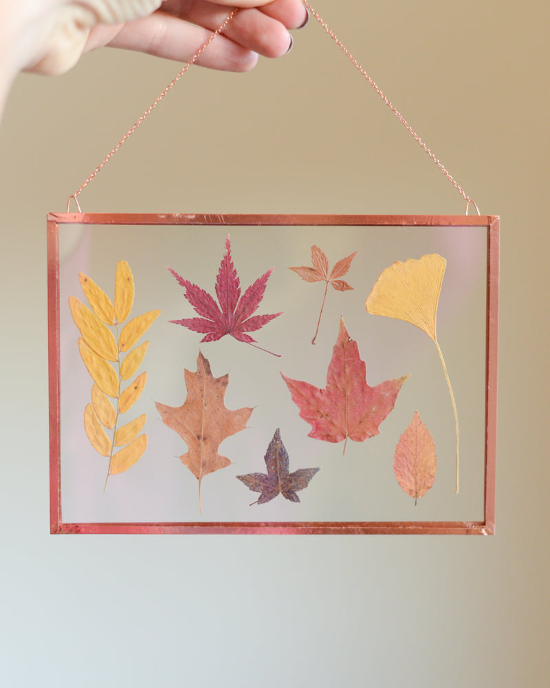 Leaf Herbarium - Glass and Copper Wall Hanging