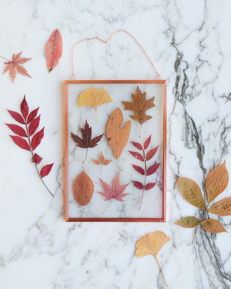 Leaf Herbarium - Glass and Copper Wall Hanging