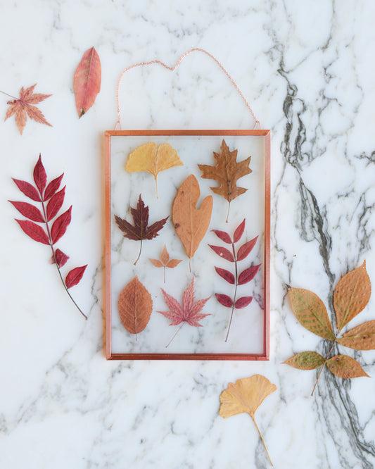 Leaf Herbarium - Glass and Copper Wall Hanging