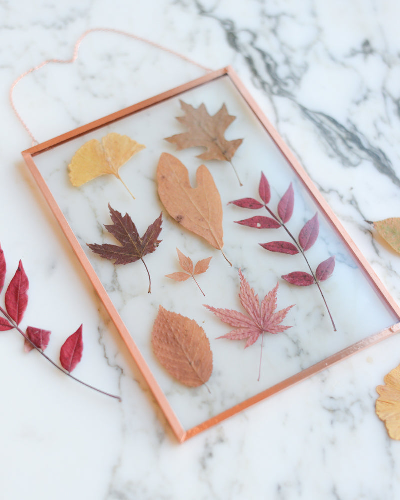 Leaf Herbarium - Glass and Copper Wall Hanging