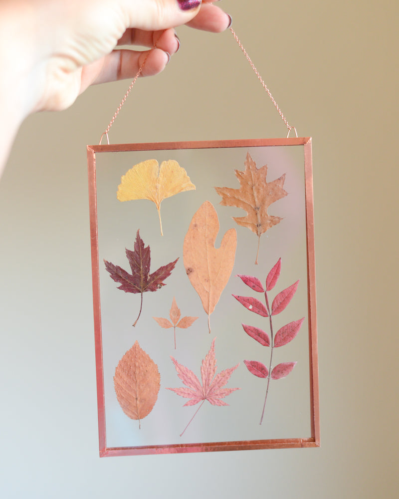 Leaf Herbarium - Glass and Copper Wall Hanging