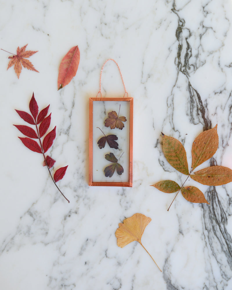 Columbine Leaves - Small Glass and Copper Wall Hanging