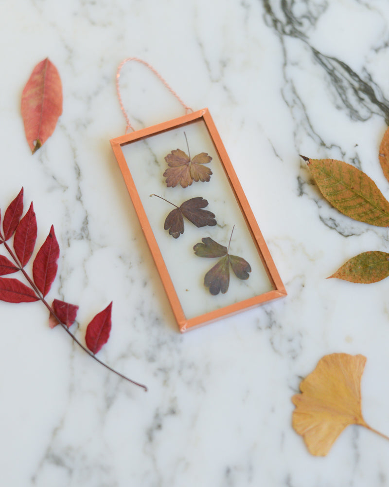 Columbine Leaves - Small Glass and Copper Wall Hanging
