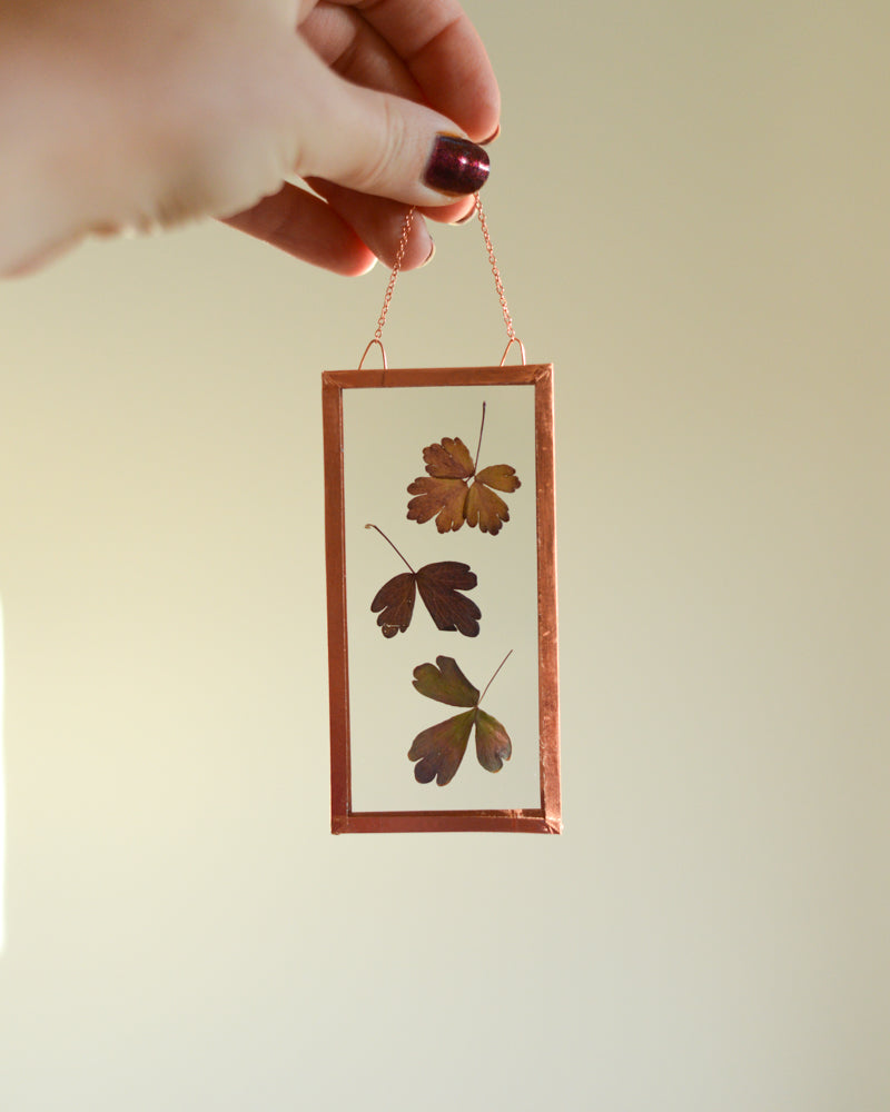 Columbine Leaves - Small Glass and Copper Wall Hanging