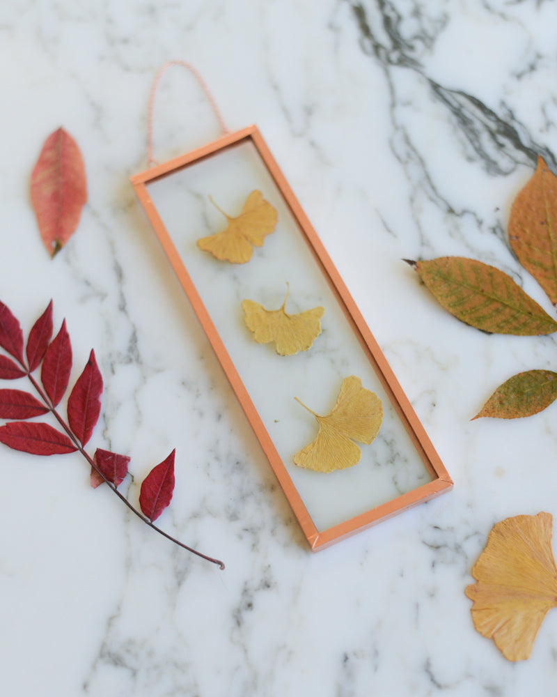 Golden Ginkgo Leaves - Small Glass and Copper Wall Hanging