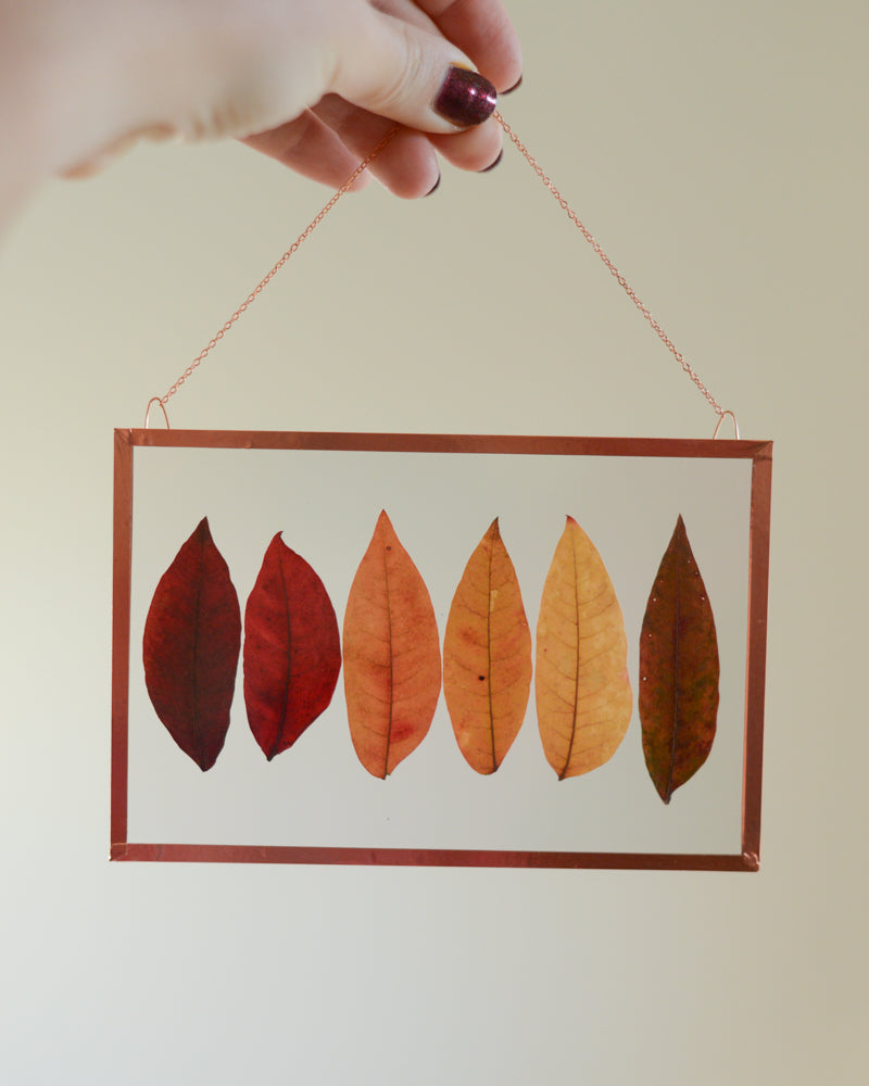 Sumac Ombre - Glass and Copper Wall Hanging