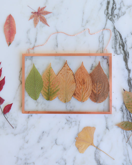 Beech Ombre - Glass and Copper Wall Hanging