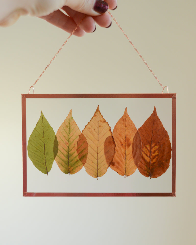Beech Ombre - Glass and Copper Wall Hanging
