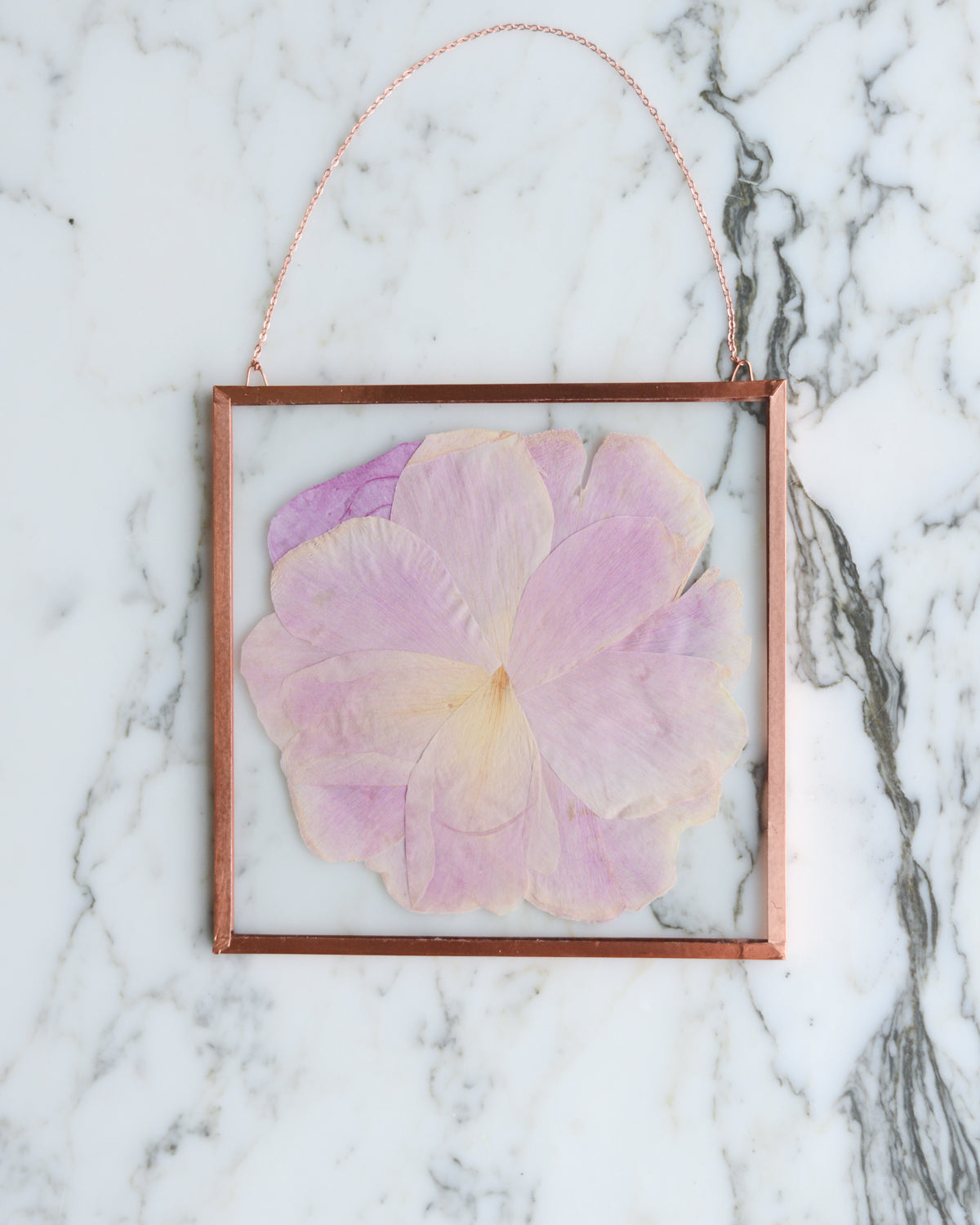 Blush Peony - Glass and Copper Wall Hanging