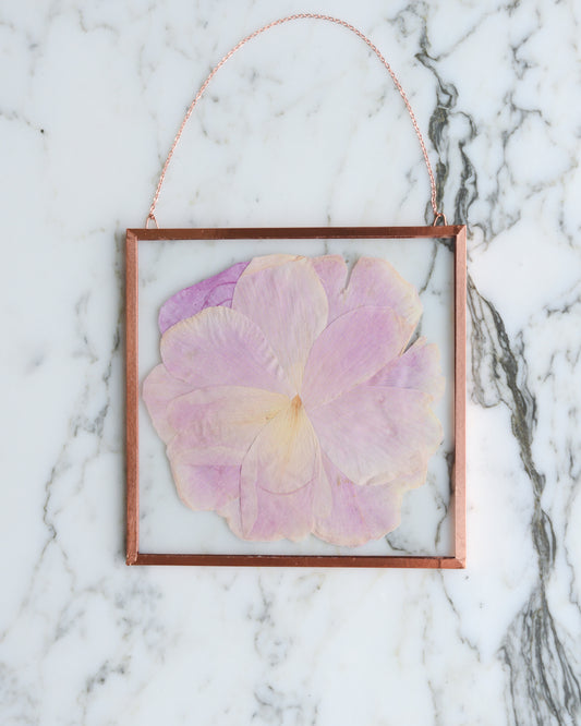 Blush Peony - Glass and Copper Wall Hanging