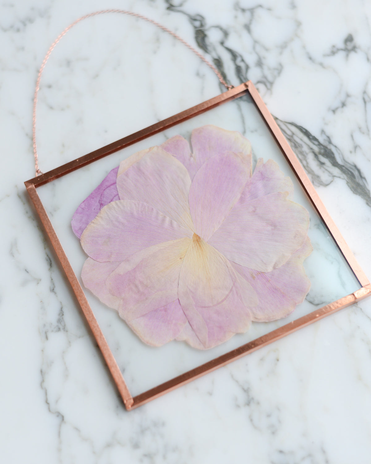 Blush Peony - Glass and Copper Wall Hanging
