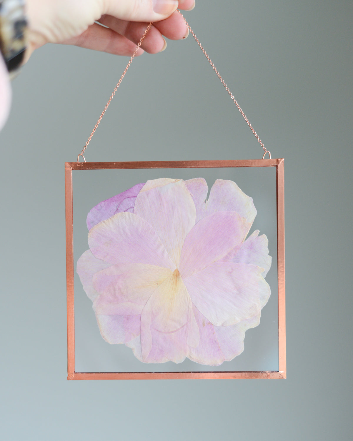 Blush Peony - Glass and Copper Wall Hanging