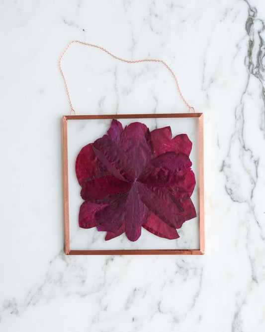 Fuchsia Peony - Glass and Copper Wall Hanging