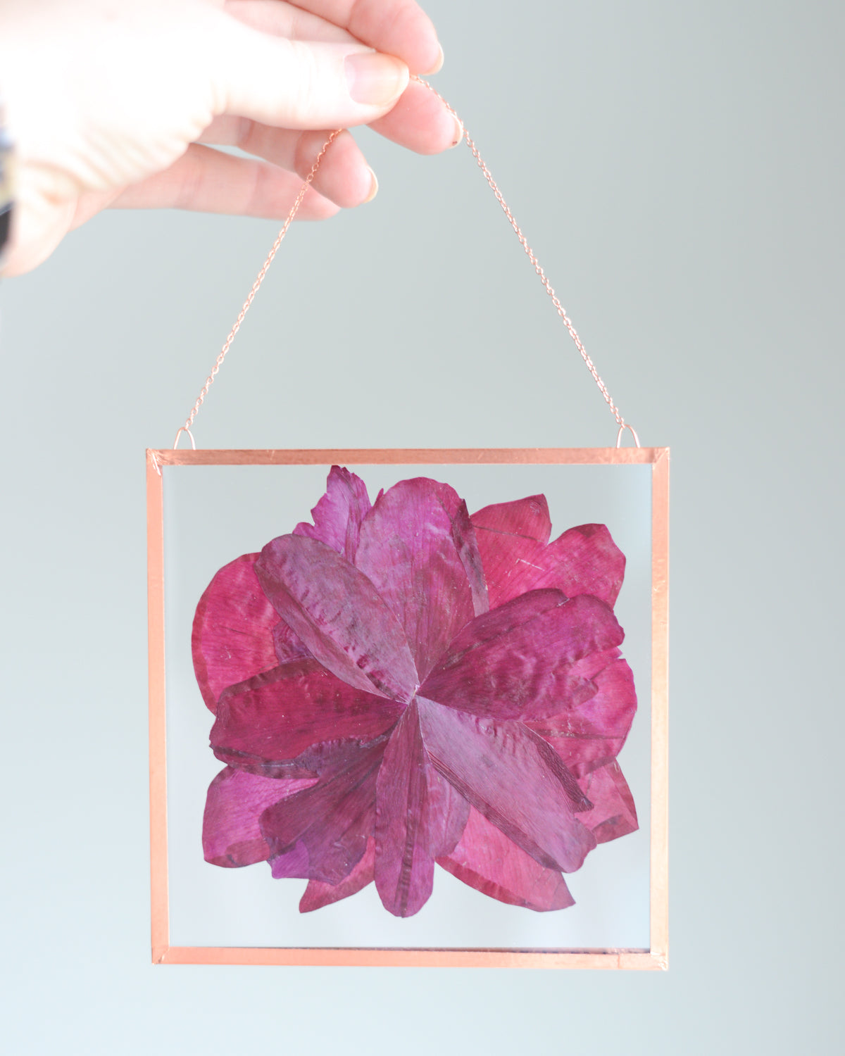 Fuchsia Peony - Glass and Copper Wall Hanging