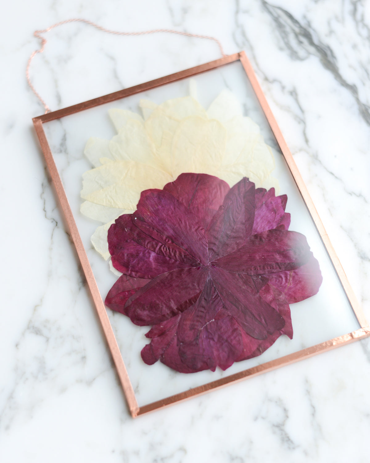 Peony Duo - Glass and Copper Wall Hanging