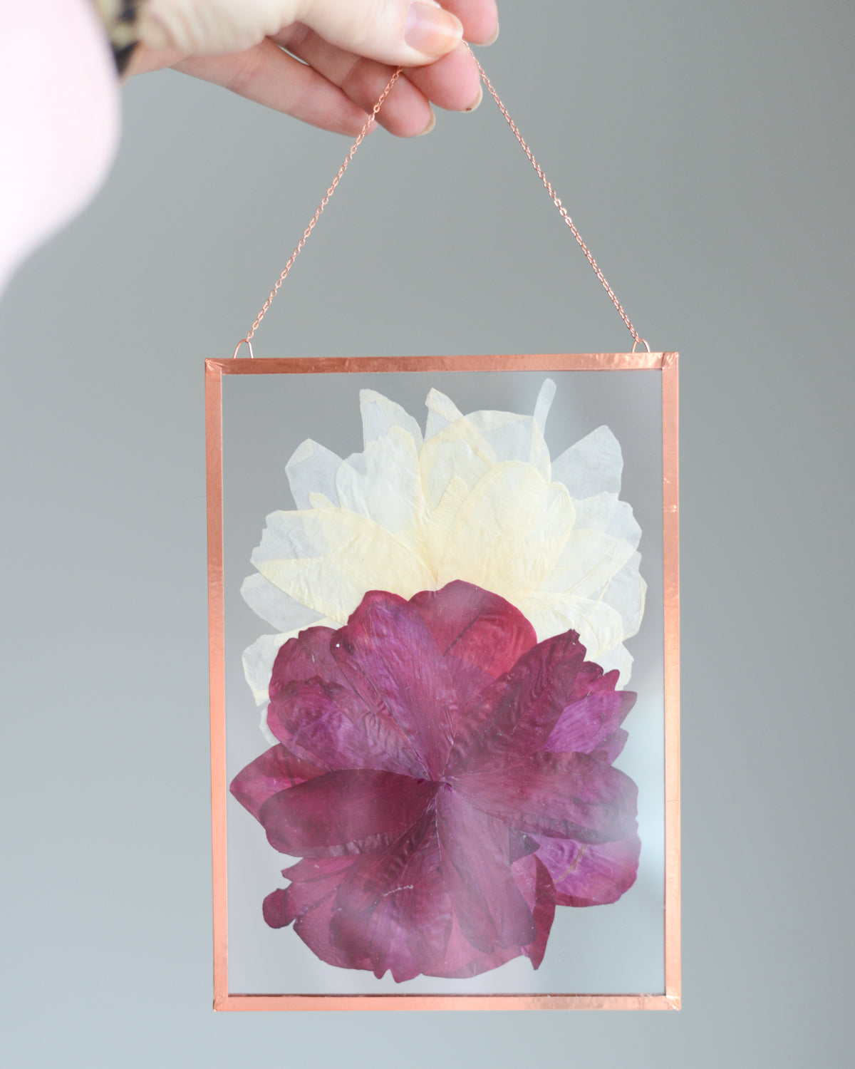 Peony Duo - Glass and Copper Wall Hanging