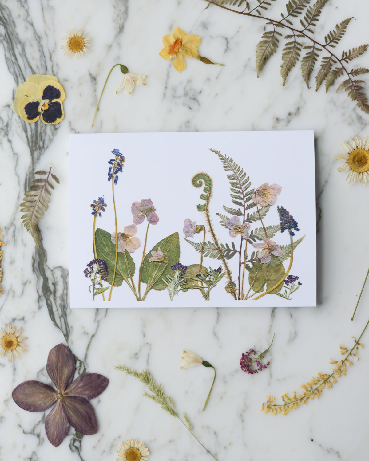 The Birth Flower Meadows Collection - Individual Blank Greeting Card