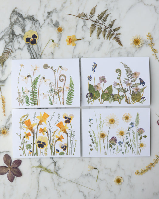 The Birth Flower Meadows Collection - Individual Blank Greeting Card
