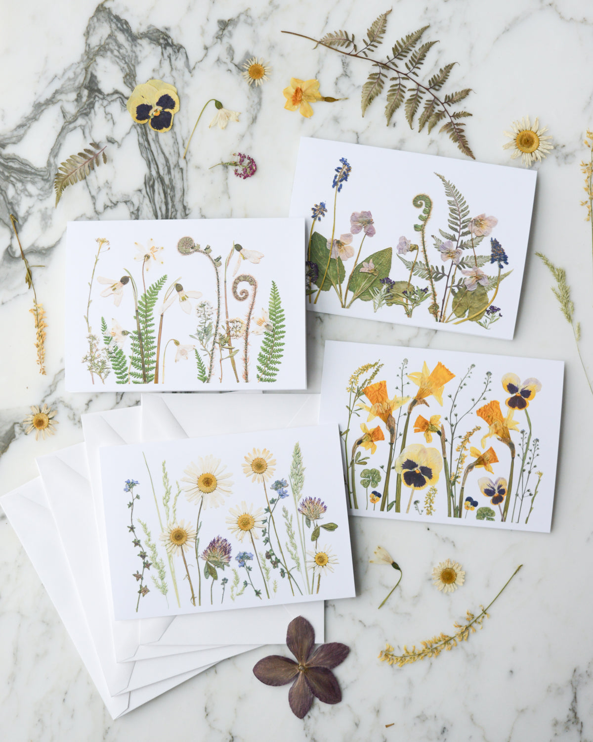 The Birth Flower Meadows Collection - Set of Blank Greeting Cards