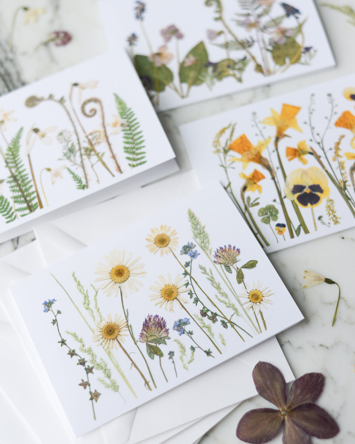 The Birth Flower Meadows Collection - Set of Blank Greeting Cards