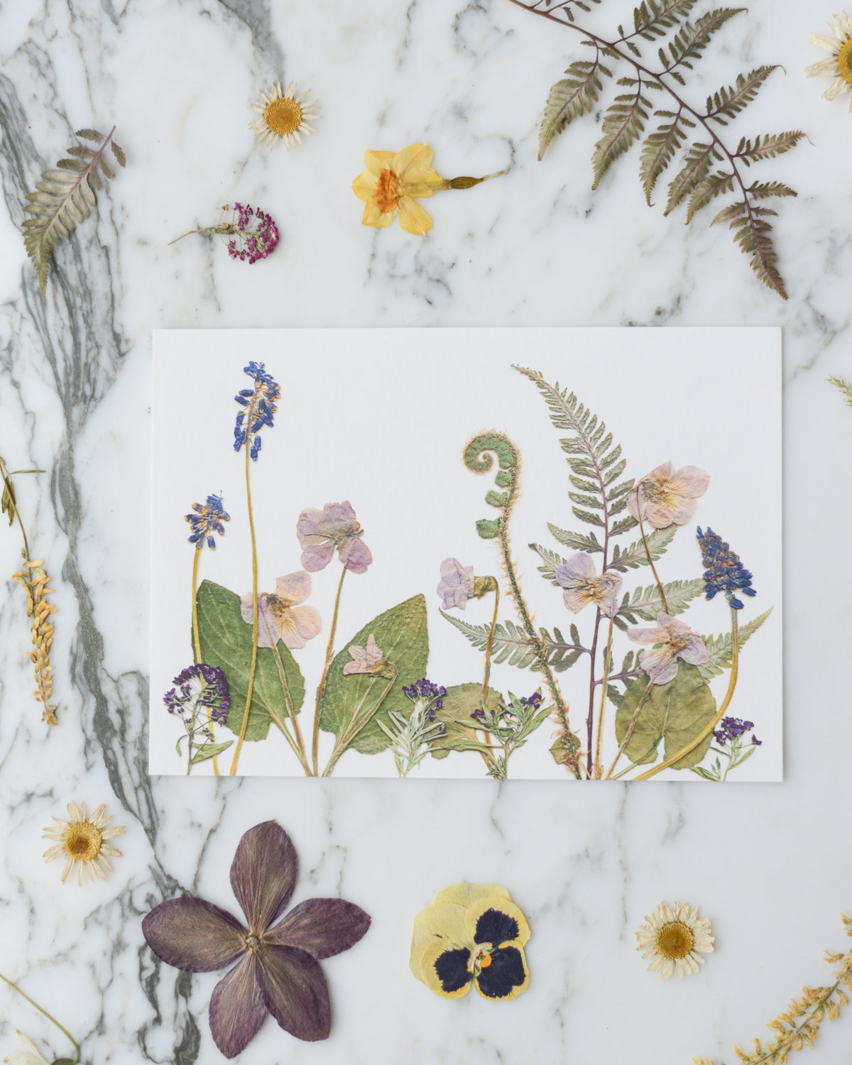 Birthday Meadows - Art Print of Pressed Flowers