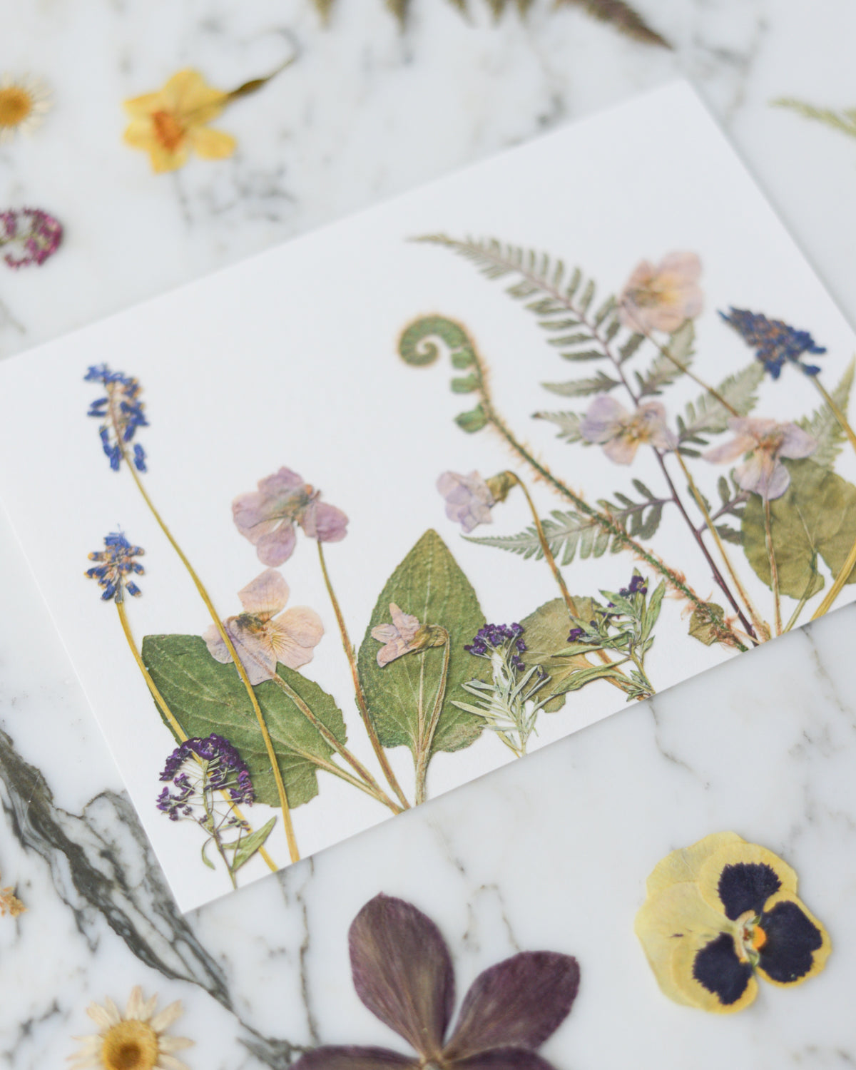 Birthday Meadows - Art Print of Pressed Flowers