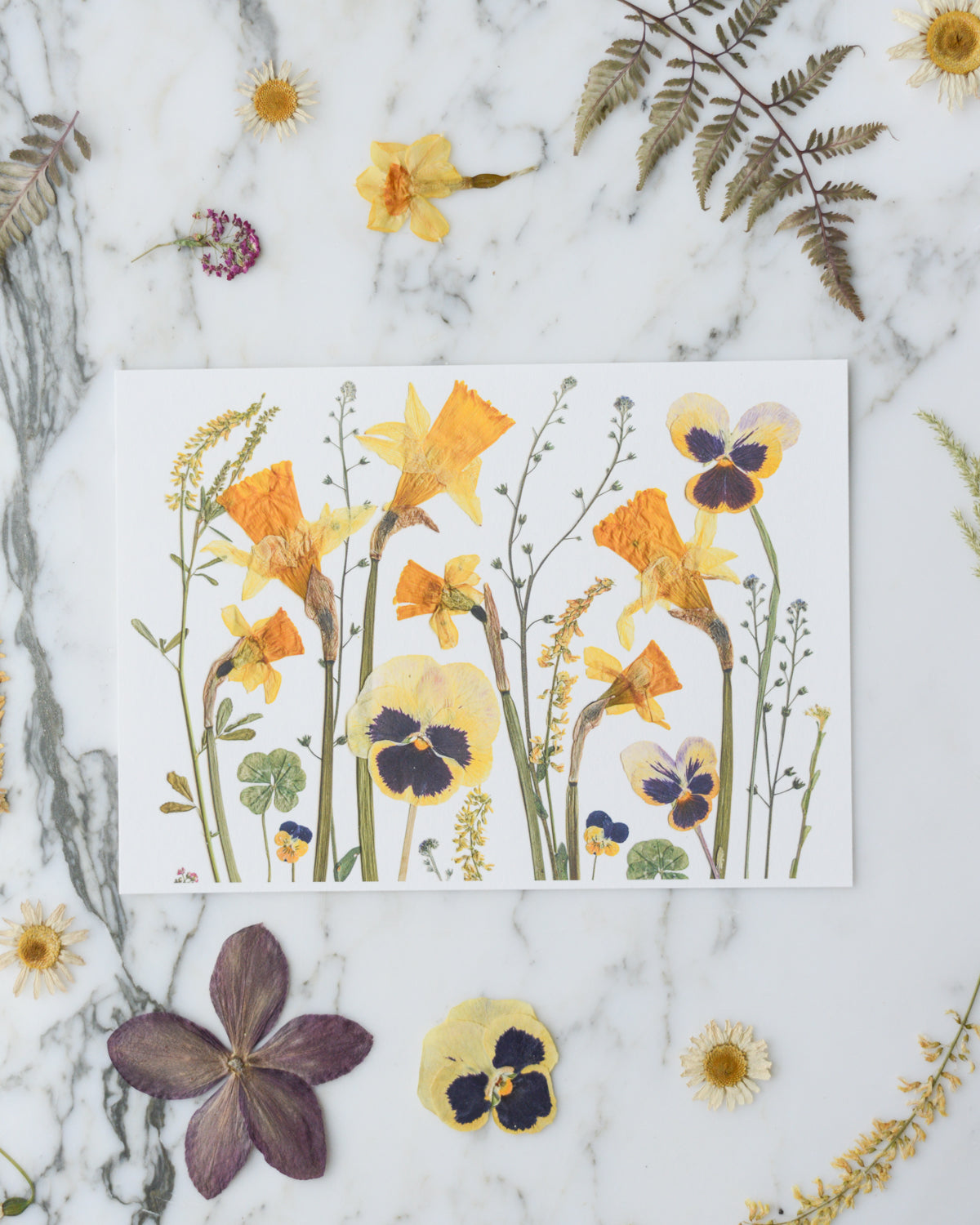 Birthday Meadows - Art Print of Pressed Flowers