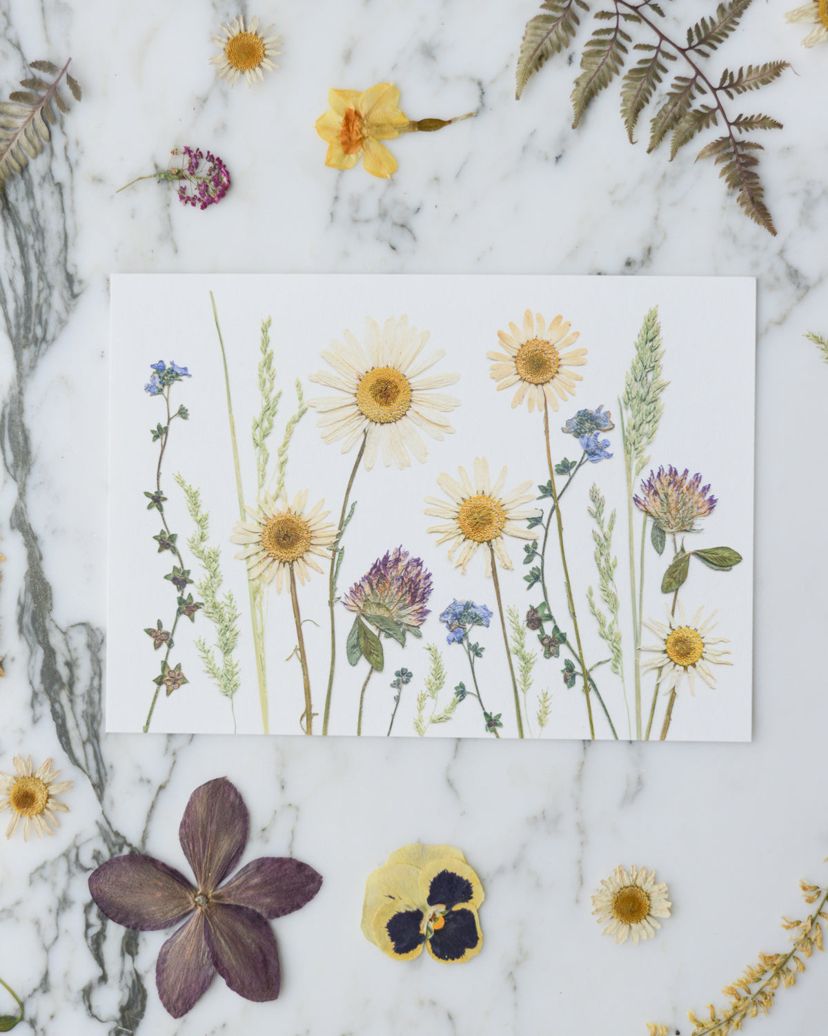 Birthday Meadows - Art Print of Pressed Flowers