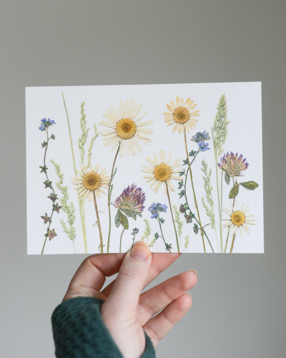 Birthday Meadows - Art Print of Pressed Flowers