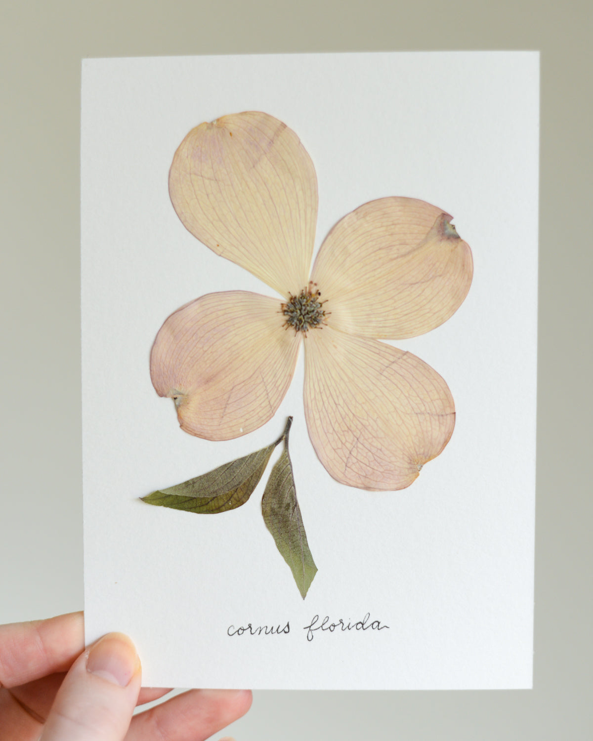 Unframed Botanicals 5x7" - Spring Equinox Collection