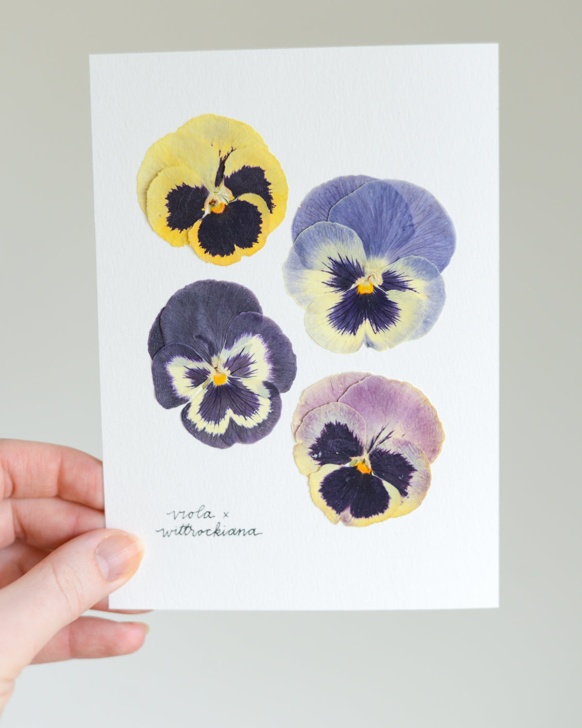 Unframed Botanicals 5x7" - Spring Equinox Collection