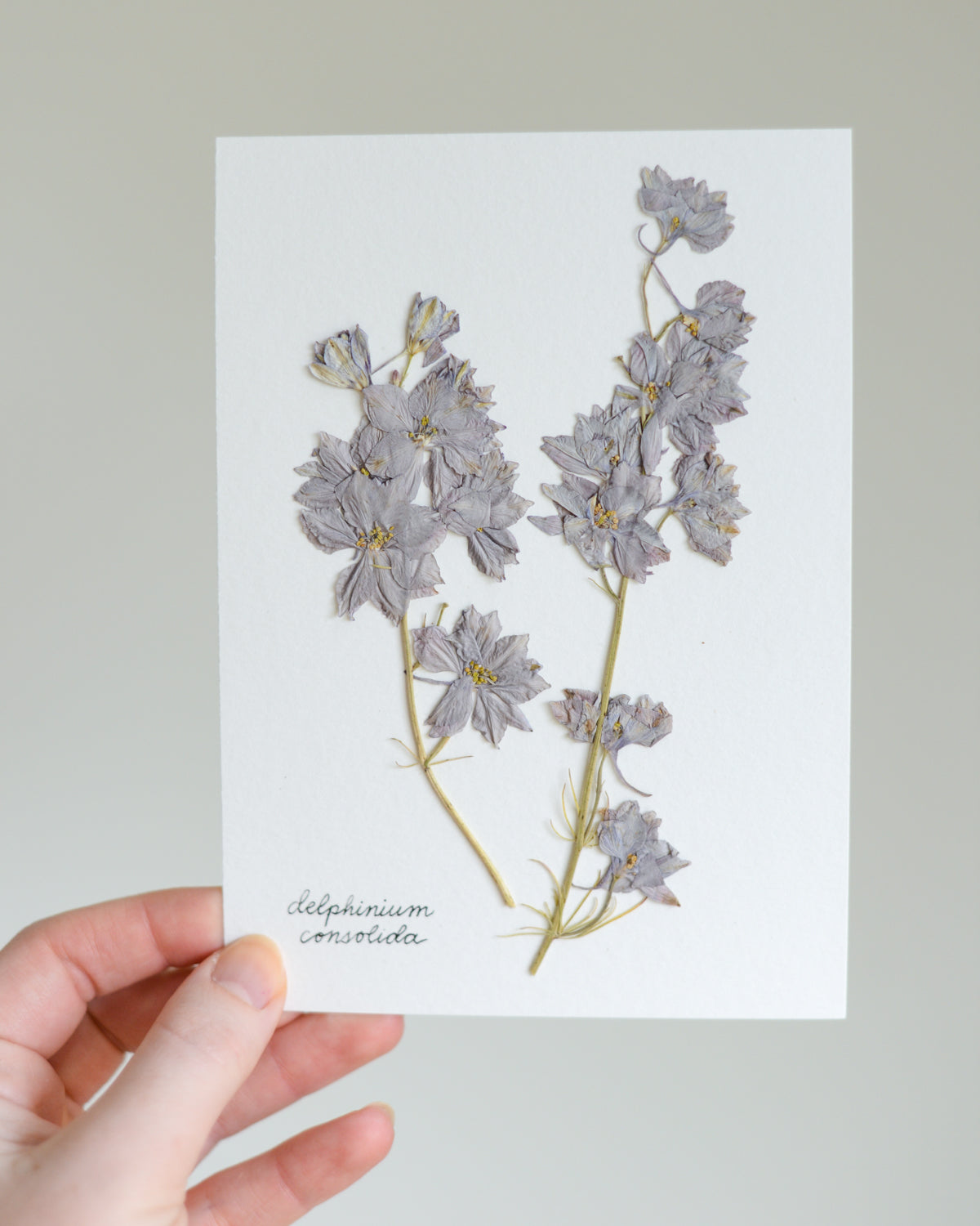 Unframed Botanicals 5x7" - Spring Equinox Collection