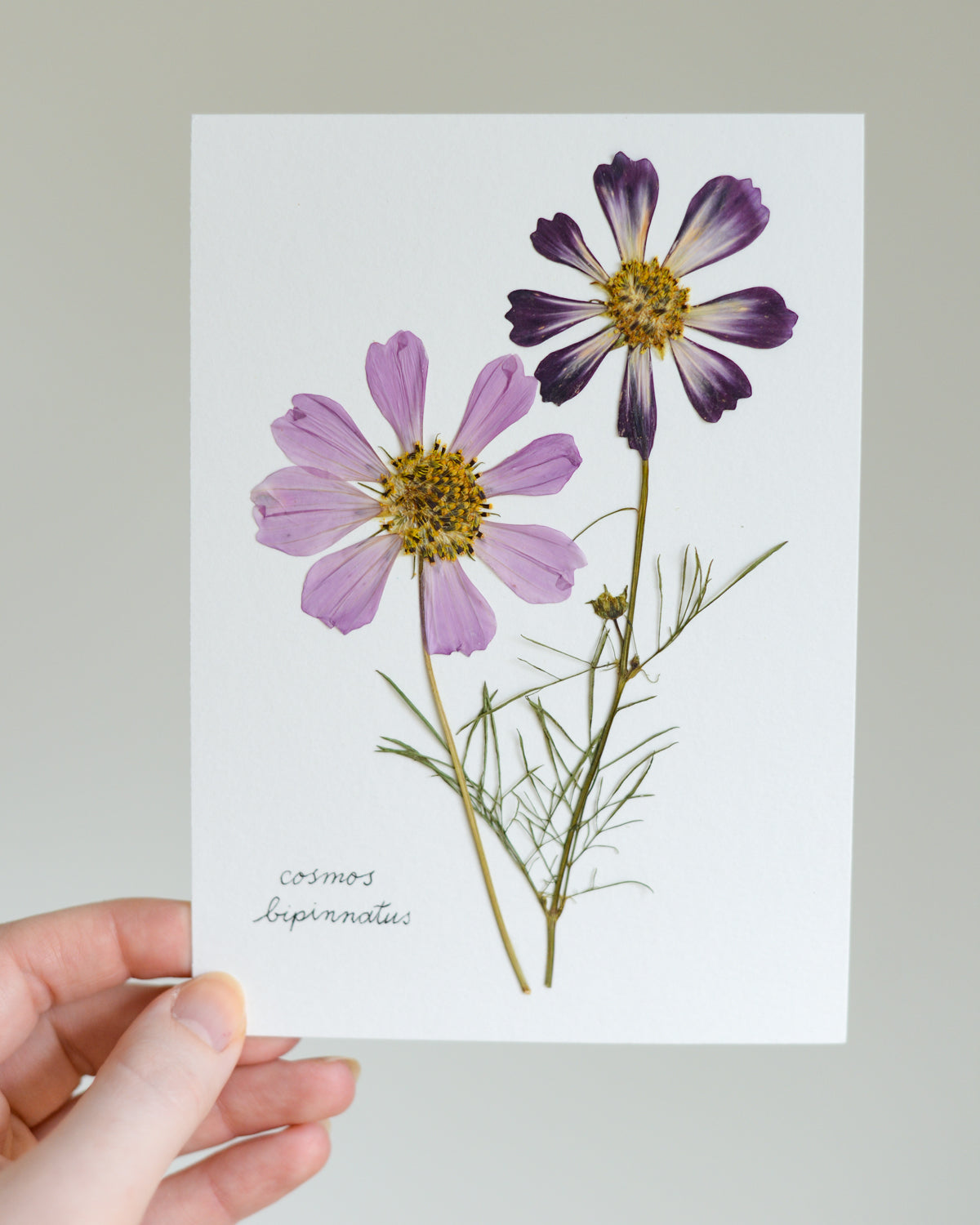 Unframed Botanicals 5x7" - Spring Equinox Collection