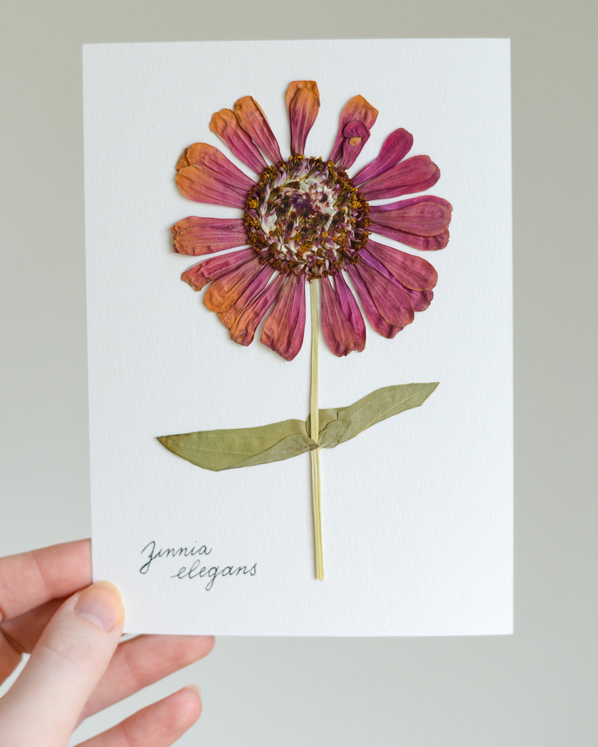 Unframed Botanicals 5x7" - Spring Equinox Collection