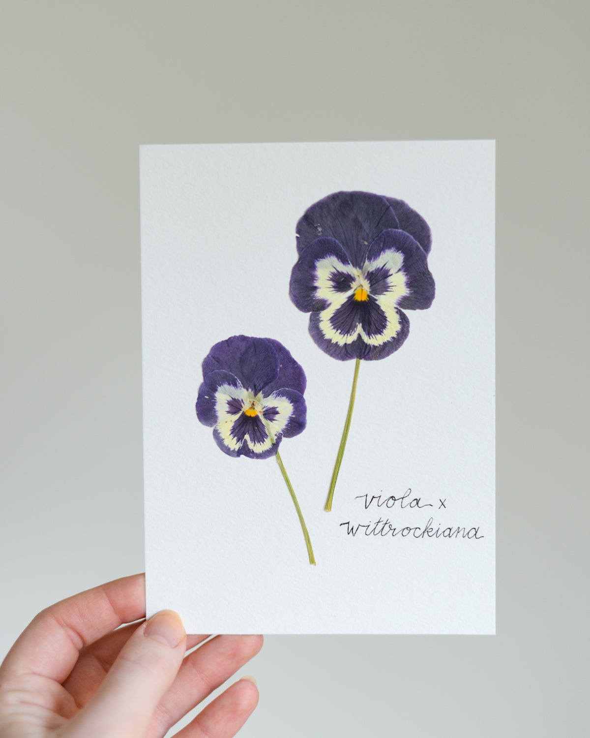 Unframed Botanicals 5x7" - Spring Equinox Collection